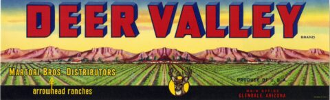 Deer Valley